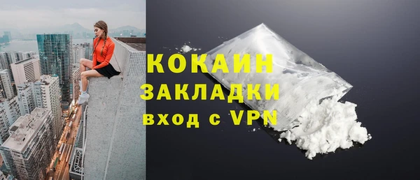 амф Горняк