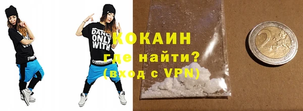 амф Горняк