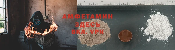амф Горняк