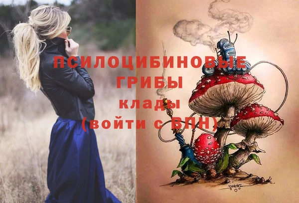 амфетамин Горнозаводск