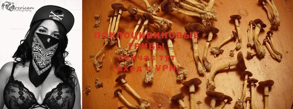 амфетамин Горнозаводск