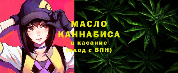амф Горняк