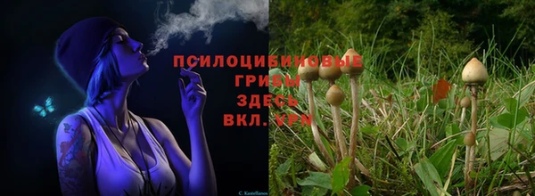 амфетамин Горнозаводск